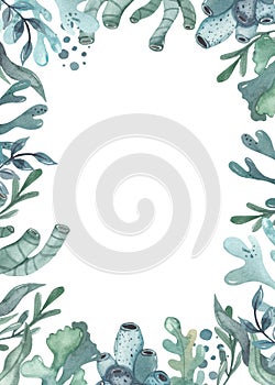 Rectangular frame with algae, corals, underwater, blue and green