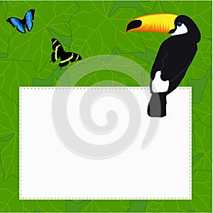 Rectangular frame with a beautiful bird parrot Toucan and butter