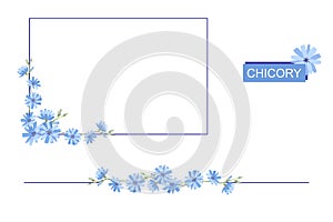 Rectangular frame of blue chicory flowers. Copy space for design. Border of chicory on a white background