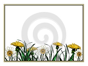 Rectangular frame decorated with grass and flowers of chamomile and dandelion