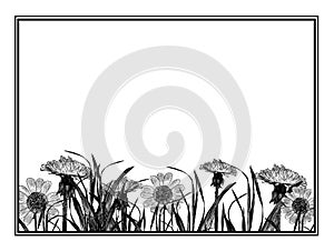 Rectangular frame decorated with grass and flowers of chamomile and dandelion