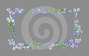 Rectangular Frame with Forget-me-not flowers