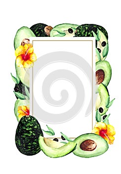 Rectangular frame with juicy avocado fruits, olive branches and yellow tropical flowers with space for text. Watercolor compositio
