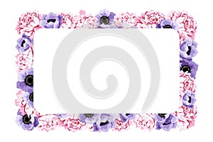 Rectangular frame of pink peony and purple anemone flower and copy space for text. Floral illustration for design