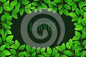 Rectangular frame of young green leaves with an oval opening on a dark background. Vector illustration, design element