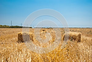 Rectangular haystacks on a field of straw, on a sunny summer day, against a background of sky and trees