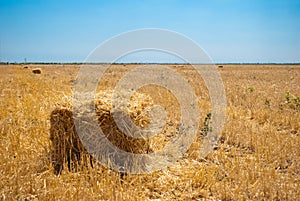 Rectangular haystacks on a field of straw, on a sunny summer day, against a background of sky and trees