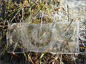 Ice piece on grass in winter, Lithuania