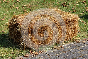 Rectangular straw hay bale used as country fair decoration next to stone tiles path surrounded with uncut grass and fallen leaves