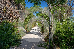 Rectilinear footpath and stone wall in a Mediterranean garden, Provence