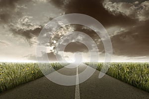 Rectilinear road between the meadow