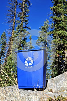 Recycle Bin And Clean Environment