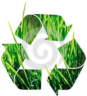 Recycle icon