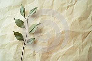 Recycle Light Beige Paper Texture Background. Eco-Friendly Concepts photo