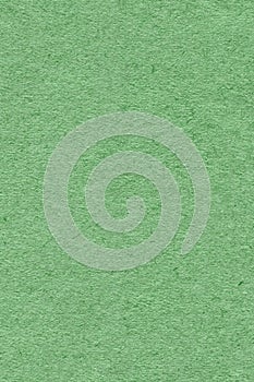 Recycle Paper Light Kelly Green Extra Coarse Grain Grunge Texture Sample