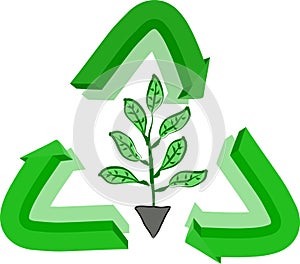 Recycle sign and plant
