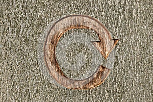 Recycle symbol carved into a tree