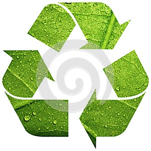 Recycle symbol with leaf