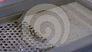 Recycled plastic granules on automatic conveyor belt