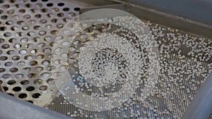 Recycled plastic granules on automatic conveyor belt
