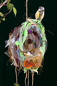 Recycled plastic waste Great Tit bird sculpture. Hanging nest.