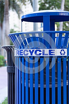 Recycling Bin in the City