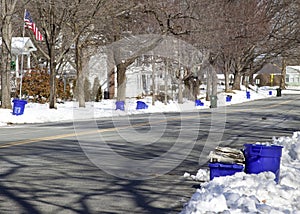 Recycling Day--Cans Lined up on Street