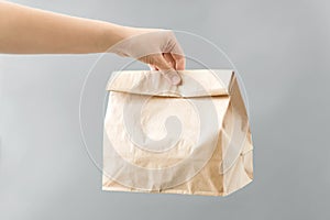 Hand holding takeaway food in paper bag with lunch