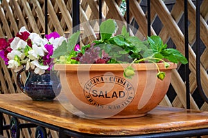 salad plants grown in upcycled recycled salad bowl outside in garden on repurposed shelf photo