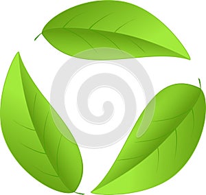 Recycling icon from leaves