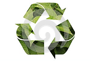 Recycling mark. Recycling mark mebius loop. Recycling. Environmentally friendly green symbol. Green foliage recycling sign