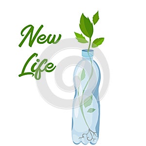 Recycling plastic waste. green Stem growing from the trash bottle . New life and save Earth concept. decomposing