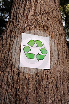 Recycling sign on the trunk of a tree