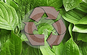 Recycling symbol cut out of kraft paper and fresh green leaves on background