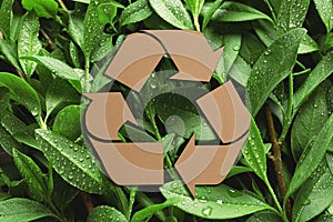 Recycling symbol cut out of kraft paper and fresh green leaves on background