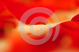 Red abstract background