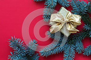 Red abstract Christmas background with Gift box and Christmas tree twigs