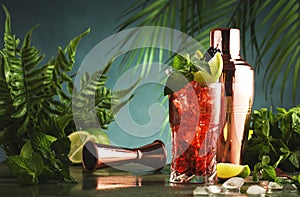 Red alcoholic cocktail with bitter, whiskey, soda, lime, mint and ice. Dark tropical background, copy space