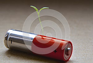 Red Alkaline AA battery close up with a green bore sprouted seed