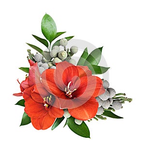 Red amaryllis flowers in a floral corner arrangement isolated on white