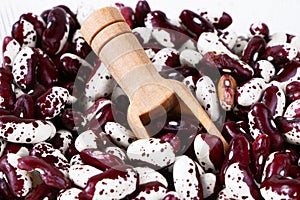 Red Anasazi Beans isolated on a white background. Spotted beans.Kidney beans.Haricot beans. Vegetarian food. Healthy protein food.