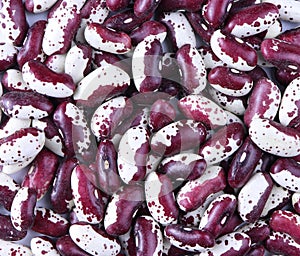 Red Anasazi Beans. Spotted beans.Kidney beans.Haricot beans