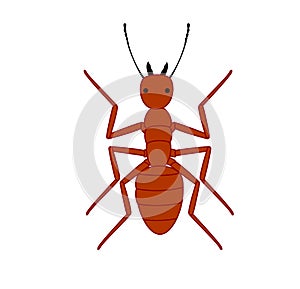 Red Ant
