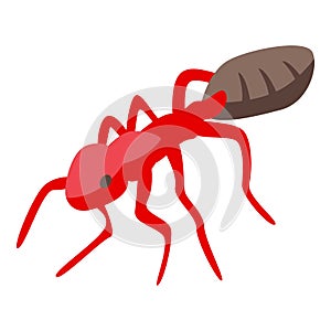 Red ant icon, isometric style