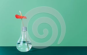 Red Anthurium flower in vase on green background.