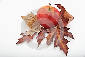 Red apple on autumn leaves