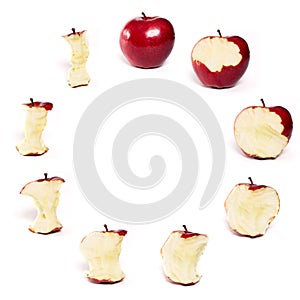 Red Apple Being eaten Series