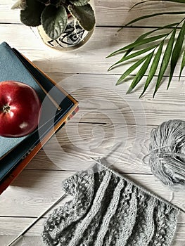 A red apple on books on a gray background next to a flower pot and knitting