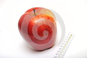 Red apple on checked copybook