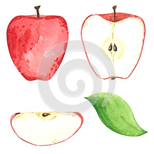 Red apple clipart set. Hand drawn watercolor illustration
